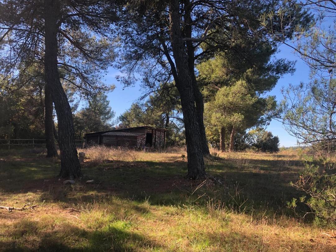 Les Robiniers Holiday home Beaumont-de-Pertuis